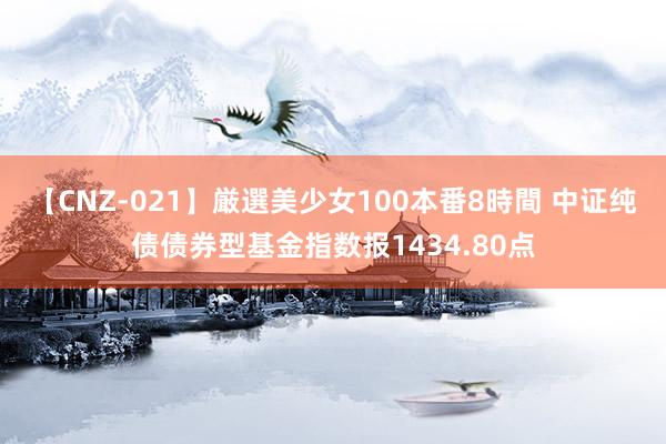 【CNZ-021】厳選美少女100本番8時間 中证纯债债券型基金指数报1434.80点