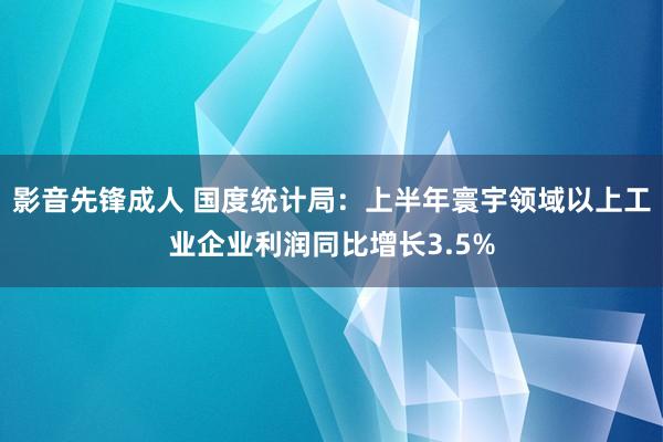 影音先锋成人 国度统计局：上半年寰宇领域以上工业企业利润同比增长3.5%