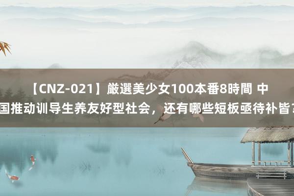 【CNZ-021】厳選美少女100本番8時間 中国推动训导生养友好型社会，还有哪些短板亟待补皆？