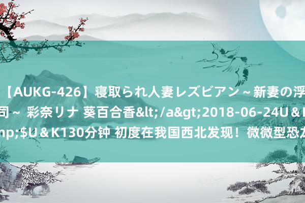 【AUKG-426】寝取られ人妻レズビアン～新妻の浮気相手は夫の上司～ 彩奈リナ 葵百合香</a>2018-06-24U＆K&$U＆K130分钟 初度在我国西北发现！微微型恐龙脚迹化石，天下已知最小