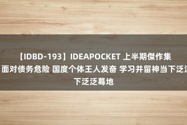 【IDBD-193】IDEAPOCKET 上半期傑作集2009 面对债务危险 国度个体王人发奋 学习并留神当下泛泛蓦地