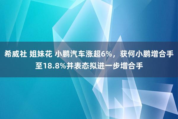 希威社 姐妹花 小鹏汽车涨超6%，获何小鹏增合手至18.8%并表态拟进一步增合手