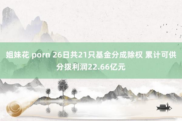 姐妹花 porn 26日共21只基金分成除权 累计可供分拨利润22.66亿元