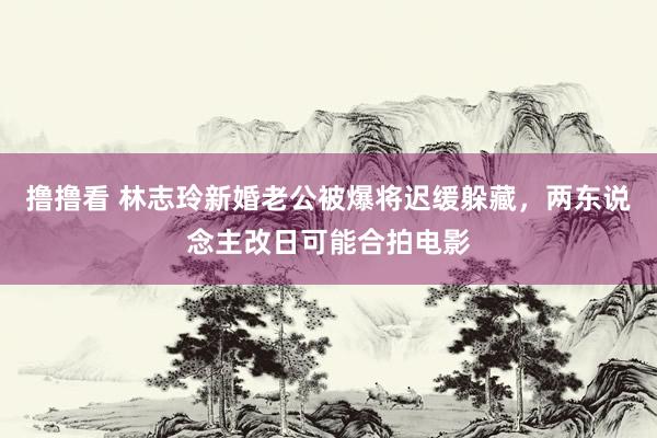 撸撸看 林志玲新婚老公被爆将迟缓躲藏，两东说念主改日可能合拍电影