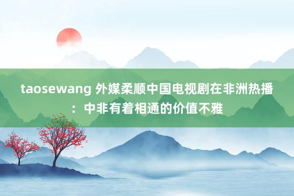 taosewang 外媒柔顺中国电视剧在非洲热播：中非有着相通的价值不雅